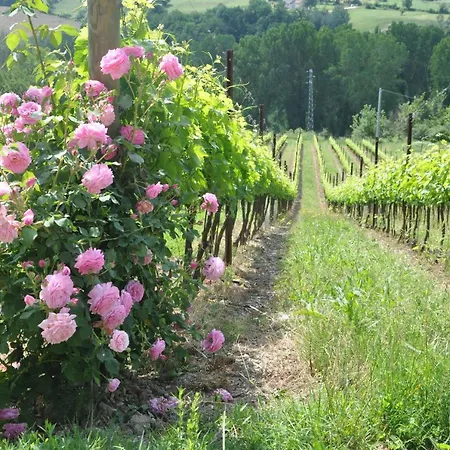 Sleeps 10 Pool Wifi Villa Otricoli